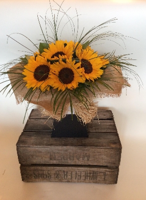 Stunning Sunflower