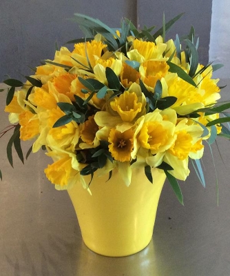 Delightful Daffodils