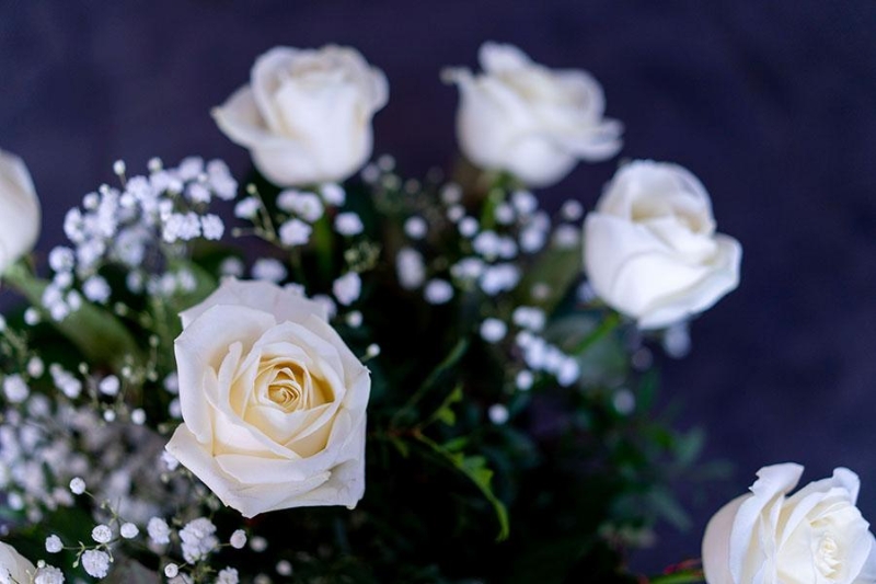 12 White Roses buy online or call 01483 756 579