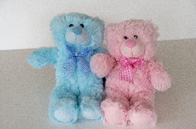Polly Pink and Bobbie Blue Bears