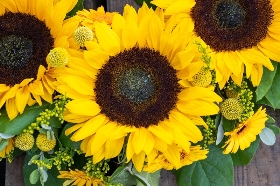 Sunflower Wreath