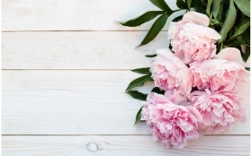 Peony MasterClass