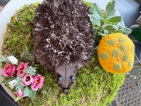 Hedgehog