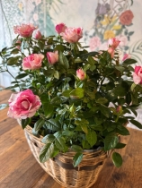 Rose Basket