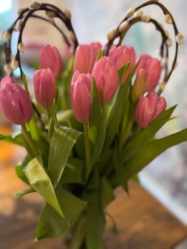 Simply Tulips