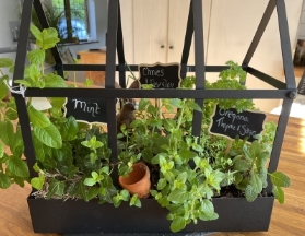 The Herb Garden